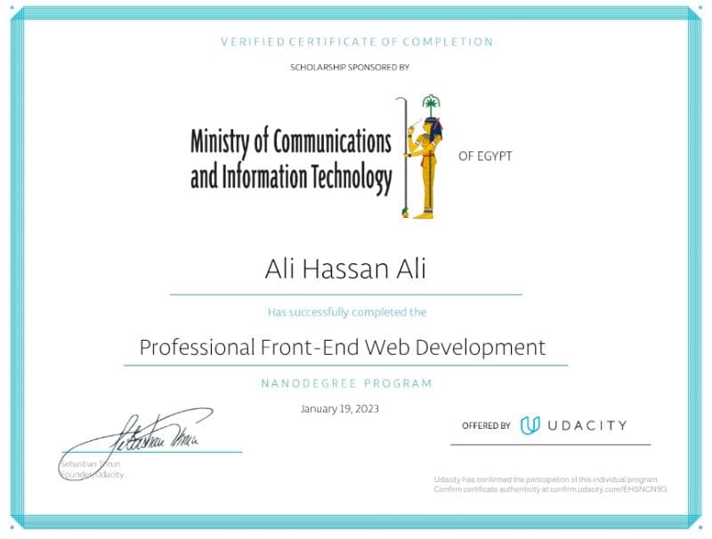 Professional Front-End Web Development